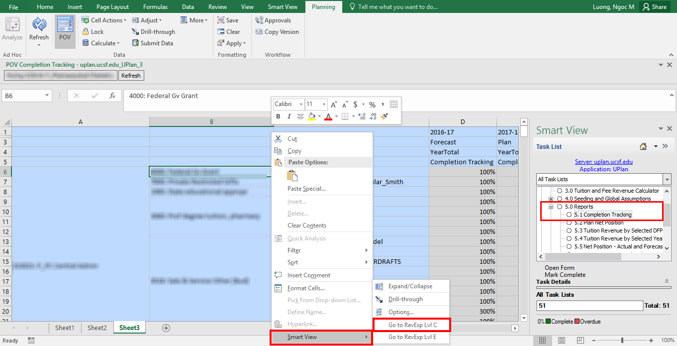 Screenshot of the Revenue and Expense workaround in Smart View.